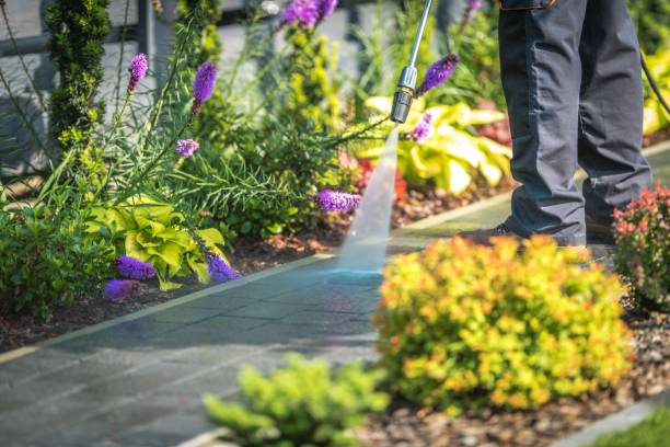 Best Soft Washing for Delicate Surfaces in Grafton, WI